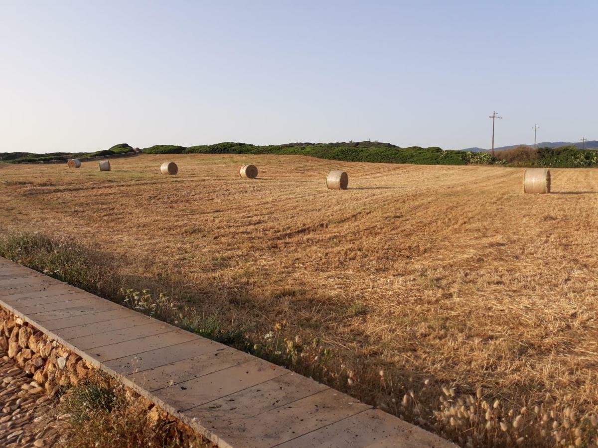 Ghilarza B&B Perdalonga מראה חיצוני תמונה